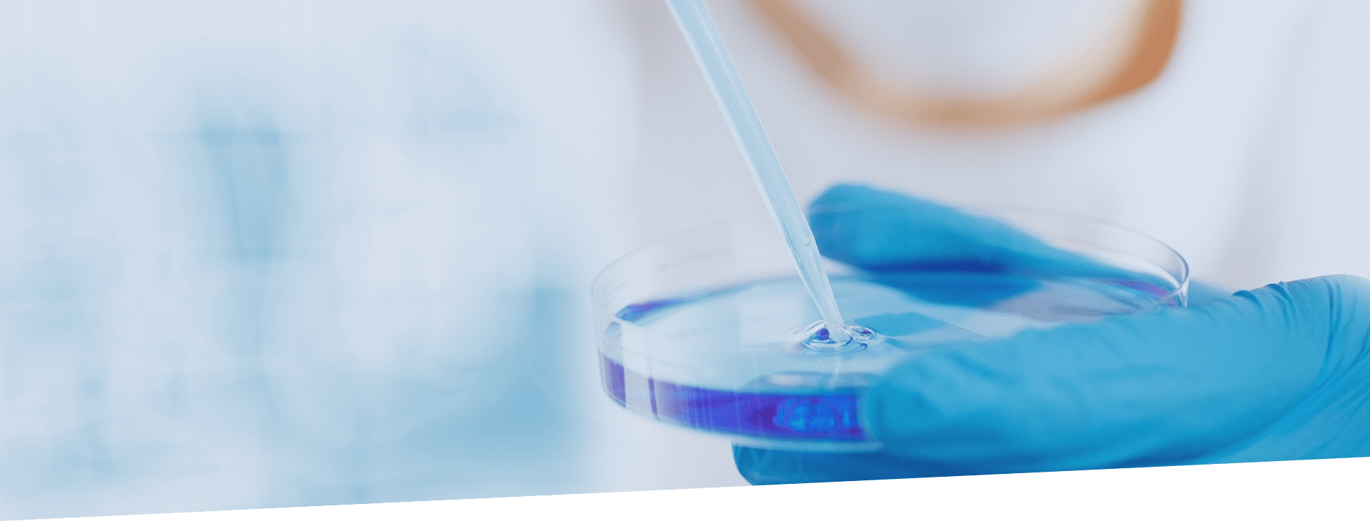 bti体育·(中国)官方网站 - APP下载